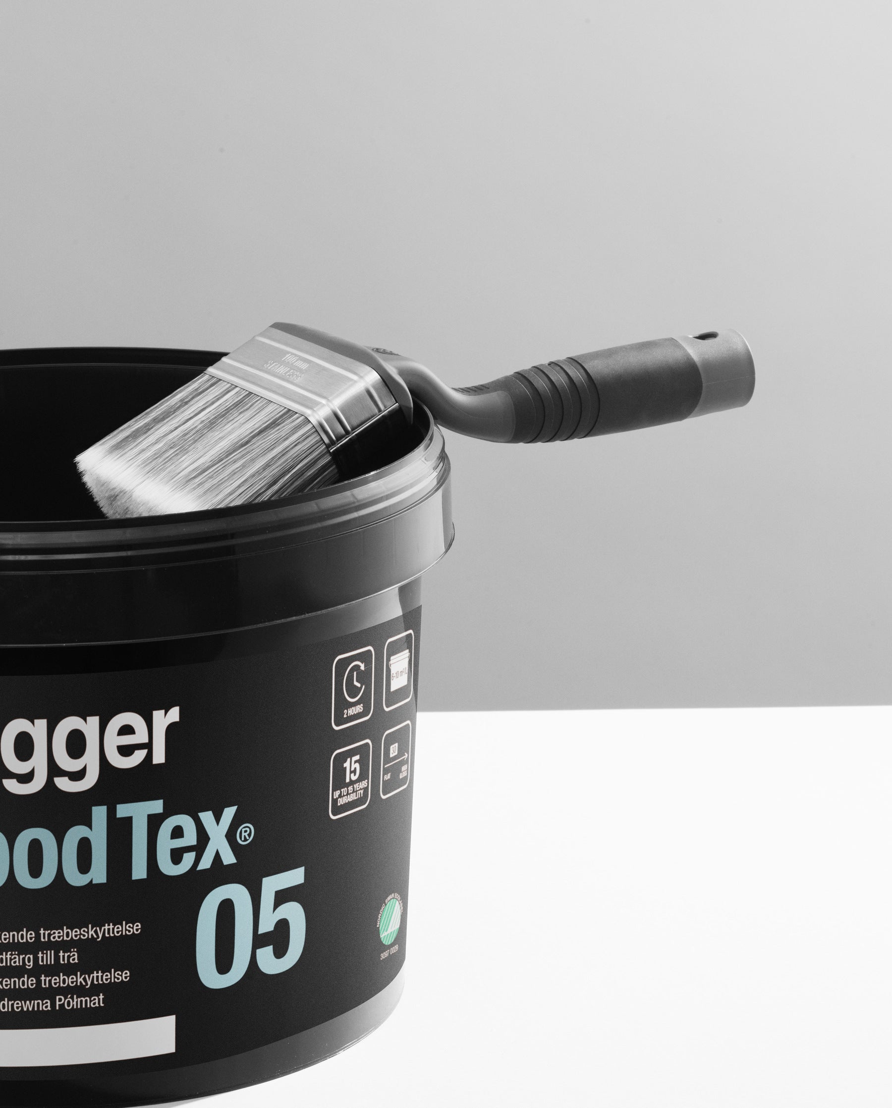 Fassadenpinsel Pro Finish